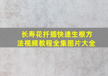 长寿花扦插快速生根方法视频教程全集图片大全