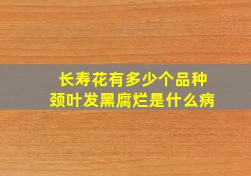 长寿花有多少个品种颈叶发黑腐烂是什么病