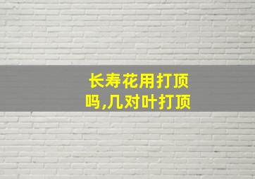 长寿花用打顶吗,几对叶打顶