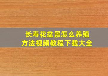 长寿花盆景怎么养殖方法视频教程下载大全