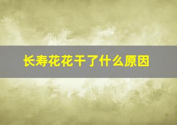 长寿花花干了什么原因