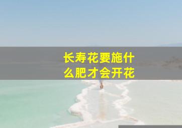 长寿花要施什么肥才会开花