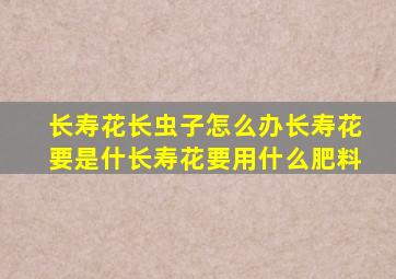 长寿花长虫子怎么办长寿花要是什长寿花要用什么肥料