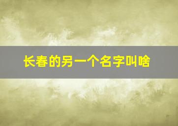 长春的另一个名字叫啥