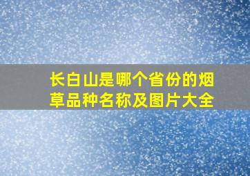 长白山是哪个省份的烟草品种名称及图片大全