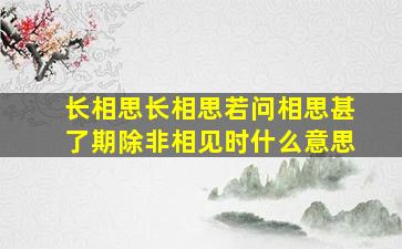 长相思长相思若问相思甚了期除非相见时什么意思