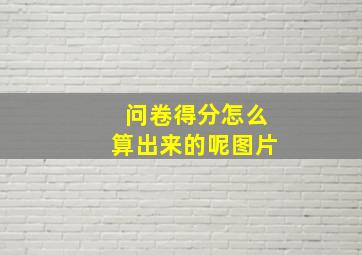 问卷得分怎么算出来的呢图片