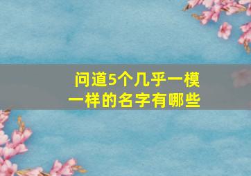 问道5个几乎一模一样的名字有哪些