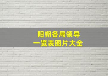 阳朔各局领导一览表图片大全