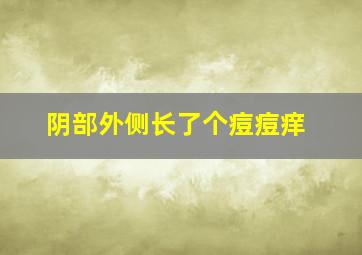 阴部外侧长了个痘痘痒