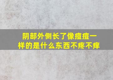 阴部外侧长了像痘痘一样的是什么东西不疼不痒