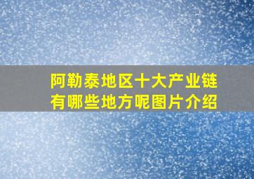 阿勒泰地区十大产业链有哪些地方呢图片介绍