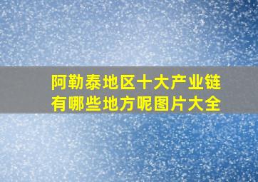 阿勒泰地区十大产业链有哪些地方呢图片大全