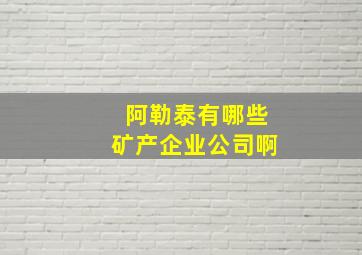 阿勒泰有哪些矿产企业公司啊