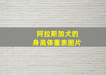 阿拉斯加犬的身高体重表图片