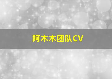 阿木木团队CV