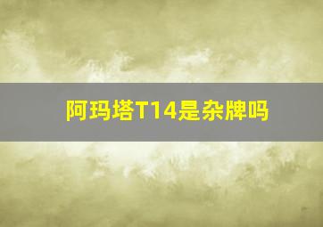 阿玛塔T14是杂牌吗