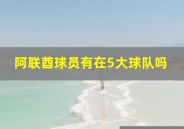 阿联酋球员有在5大球队吗