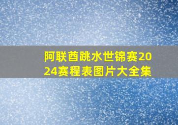 阿联酋跳水世锦赛2024赛程表图片大全集