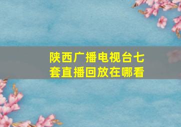 陕西广播电视台七套直播回放在哪看