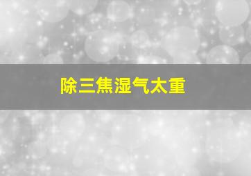 除三焦湿气太重