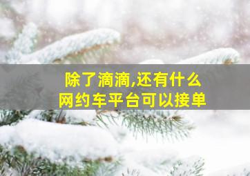 除了滴滴,还有什么网约车平台可以接单