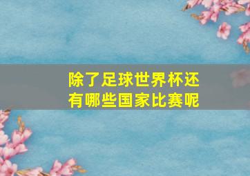 除了足球世界杯还有哪些国家比赛呢