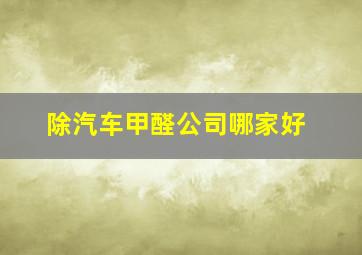 除汽车甲醛公司哪家好