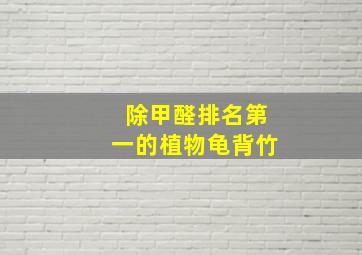 除甲醛排名第一的植物龟背竹