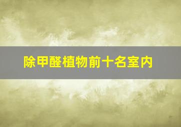 除甲醛植物前十名室内