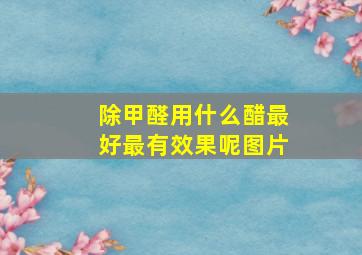 除甲醛用什么醋最好最有效果呢图片