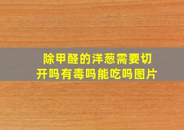 除甲醛的洋葱需要切开吗有毒吗能吃吗图片