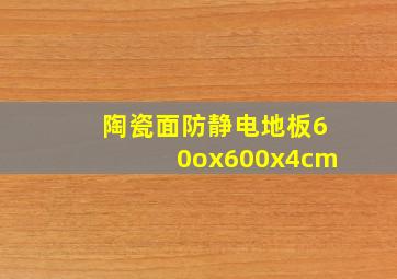 陶瓷面防静电地板60ox600x4cm