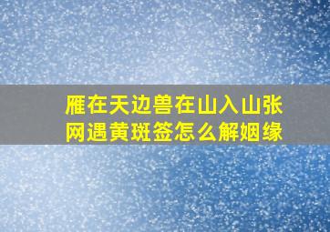 雁在天边兽在山入山张网遇黄斑签怎么解姻缘