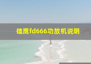 雄鹰fd666功放机说明