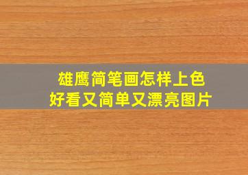 雄鹰简笔画怎样上色好看又简单又漂亮图片