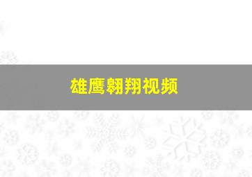 雄鹰翱翔视频