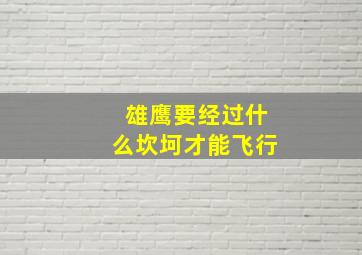 雄鹰要经过什么坎坷才能飞行