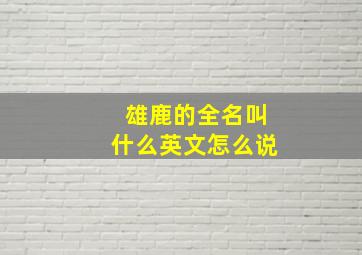 雄鹿的全名叫什么英文怎么说