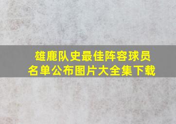 雄鹿队史最佳阵容球员名单公布图片大全集下载