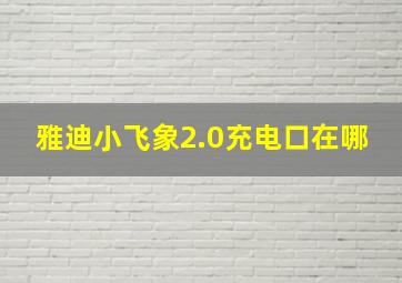 雅迪小飞象2.0充电口在哪