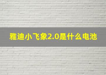 雅迪小飞象2.0是什么电池