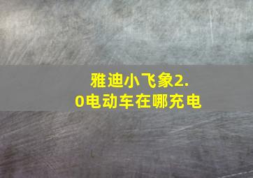 雅迪小飞象2.0电动车在哪充电