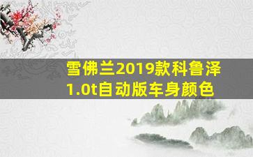 雪佛兰2019款科鲁泽1.0t自动版车身颜色