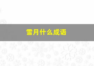 雪月什么成语