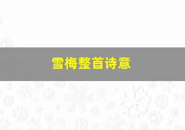 雪梅整首诗意