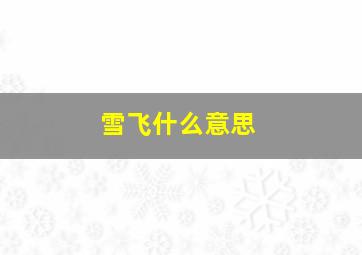 雪飞什么意思