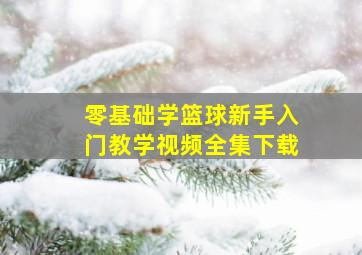 零基础学篮球新手入门教学视频全集下载