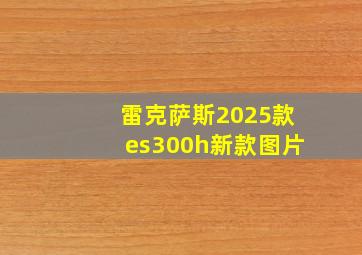 雷克萨斯2025款es300h新款图片