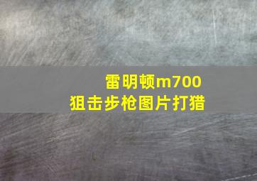 雷明顿m700狙击步枪图片打猎